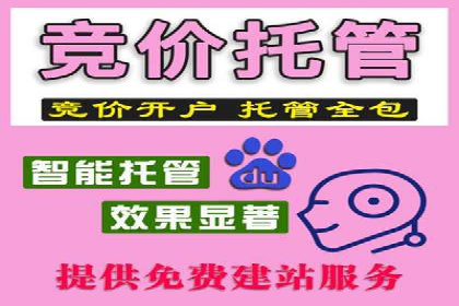 百度竞价代运营助力企业增长